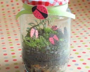 Make a Mossy Terrarium