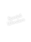 Special Wonders/